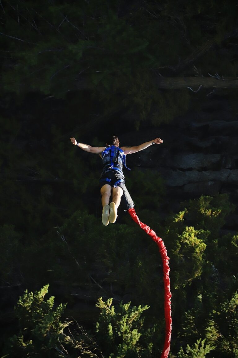 bungee-jumping-6462456_1280